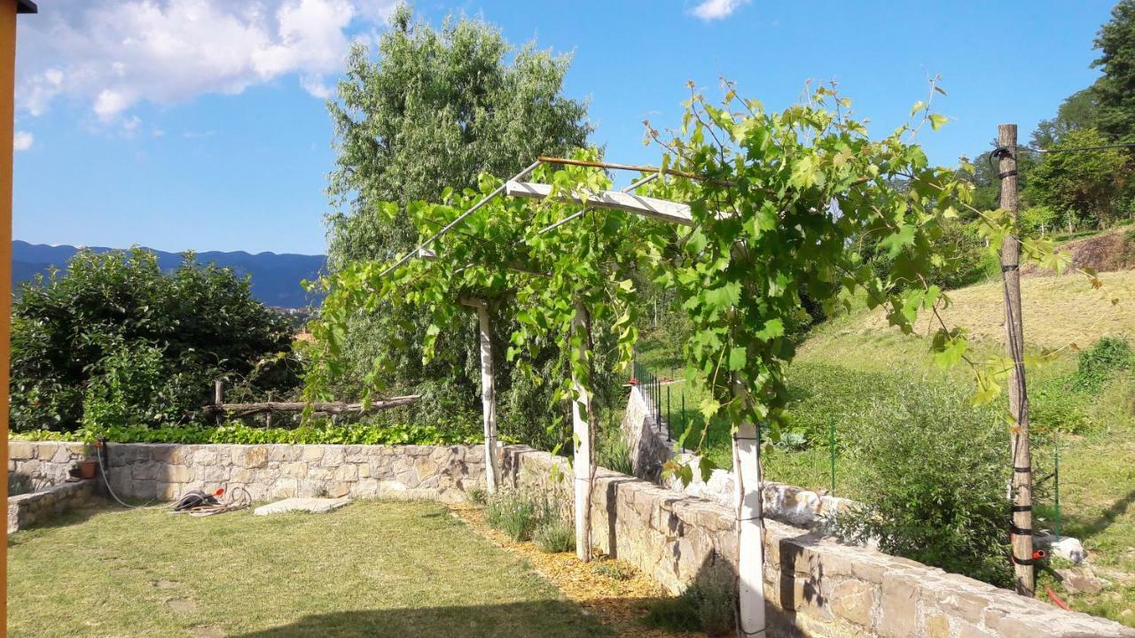 Pocitniska Hisa Guest House Dobravlje Luaran gambar