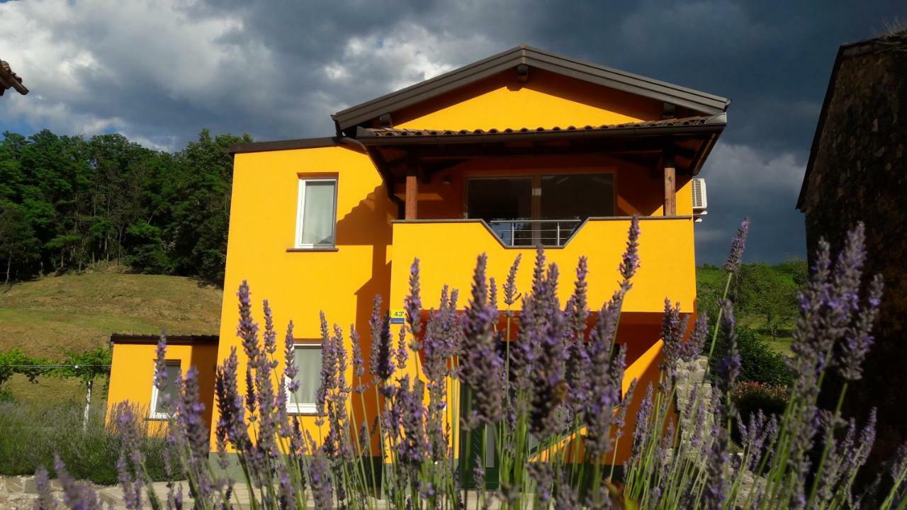 Pocitniska Hisa Guest House Dobravlje Luaran gambar