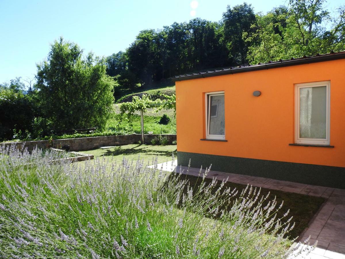 Pocitniska Hisa Guest House Dobravlje Luaran gambar
